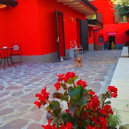 Camé Bed & Breakfast 3*