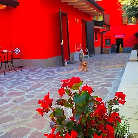 Came Bed and Breakfast Alzano Lombardo