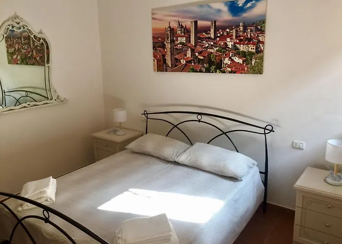 B&B Came
